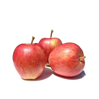 Gala Apple European 500g